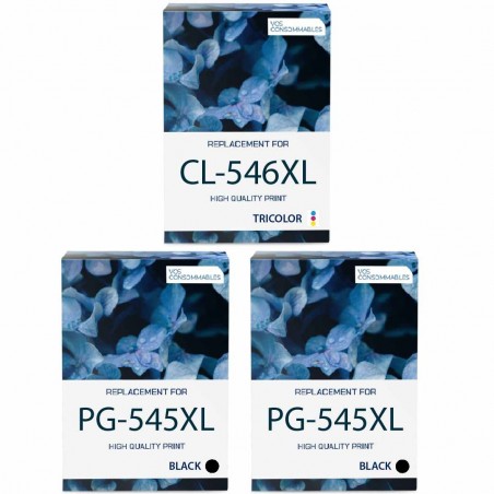 Pack de 3 Canon PG-545XL CL-546XL cartouches d'encre compatibles 